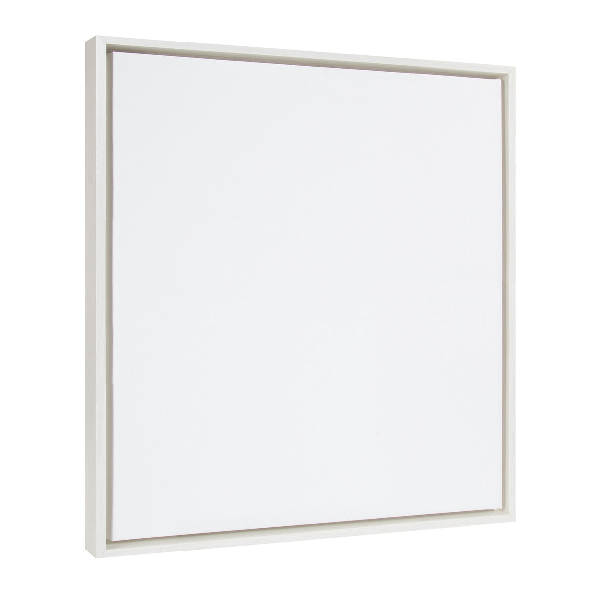 Sylvie Blank Framed Canvas 22x22