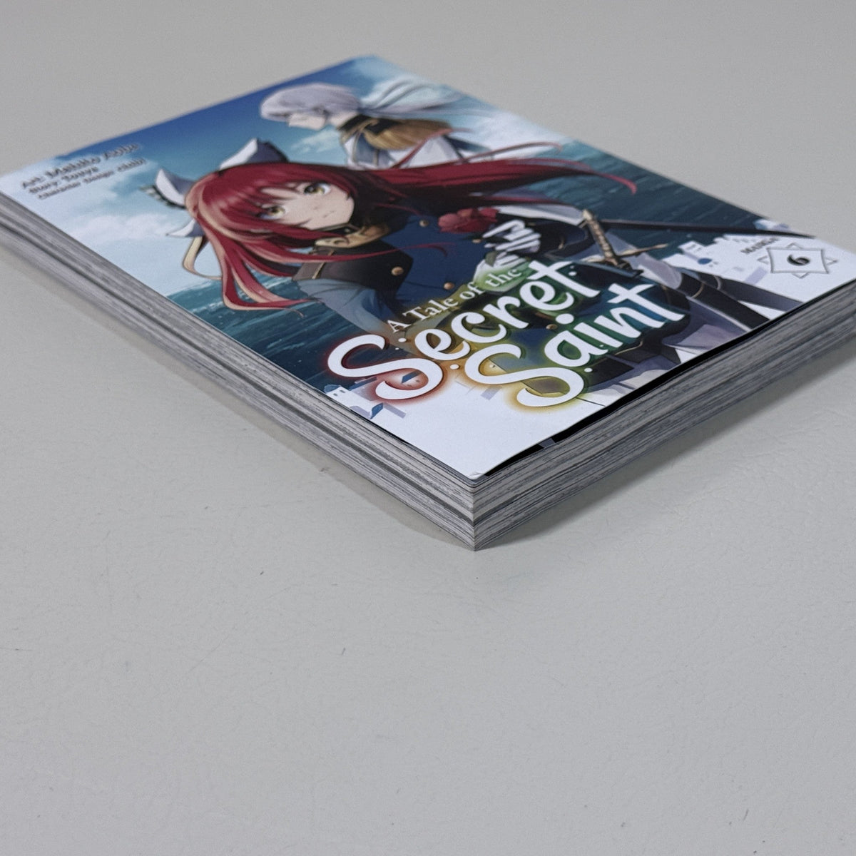 A Tale of the Secret Saint Manga Vol. 6 Paperback Seven Seas
