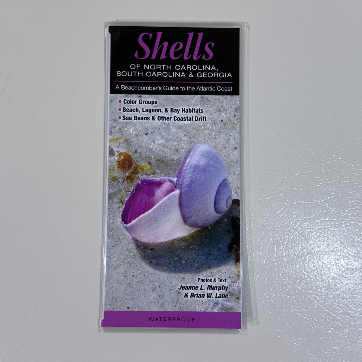 Shells of North Carolina, South Carolina & Georgia Folding Guide