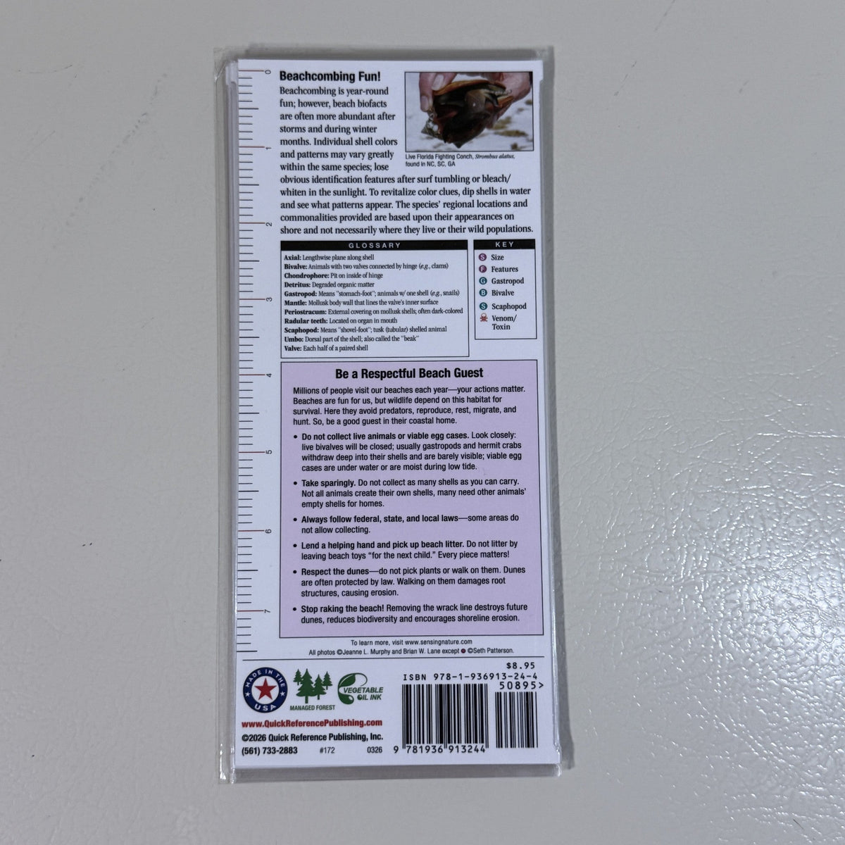 Shells of North Carolina, South Carolina & Georgia Folding Guide