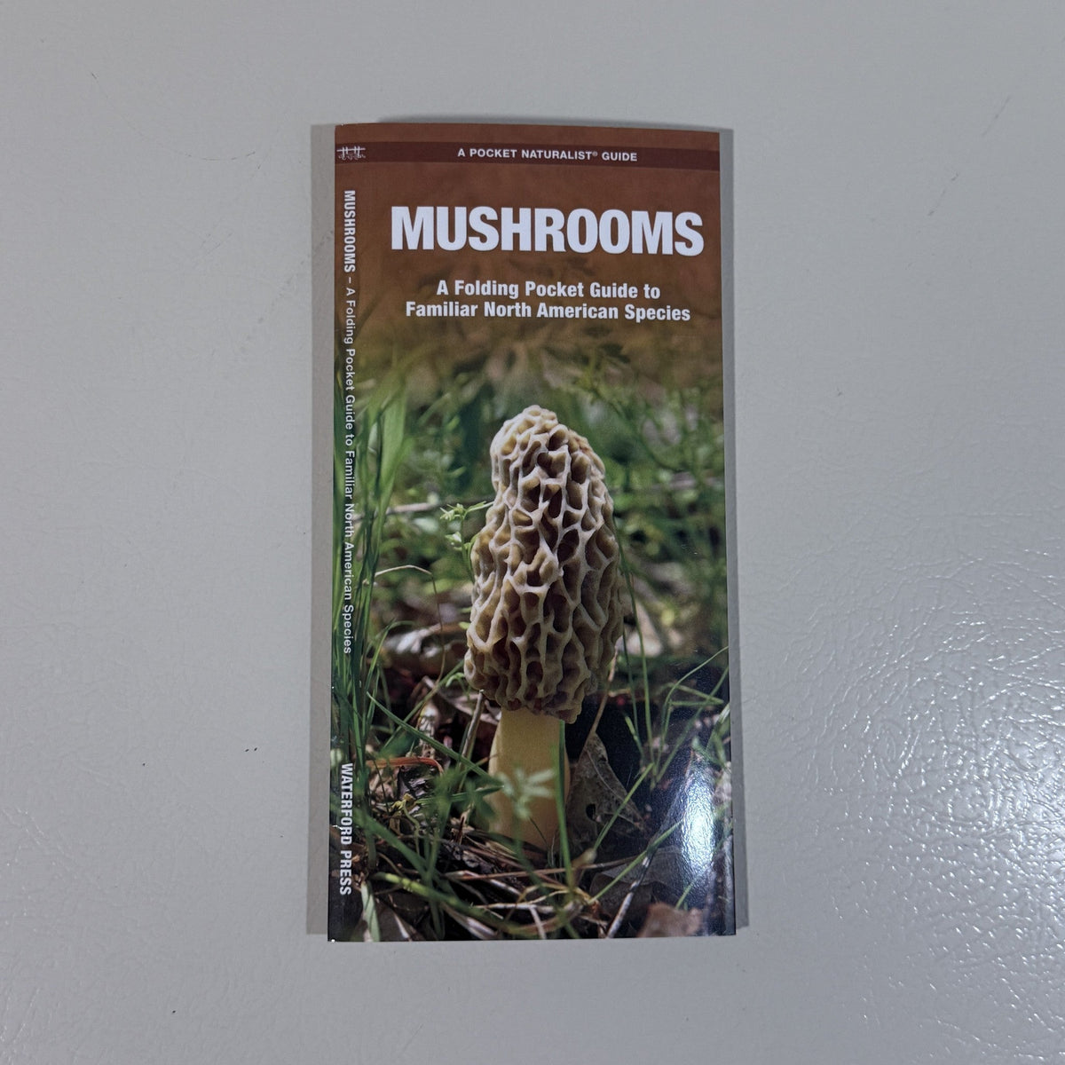 Mushrooms Pocket Naturalist Folding Guide Waterford Press