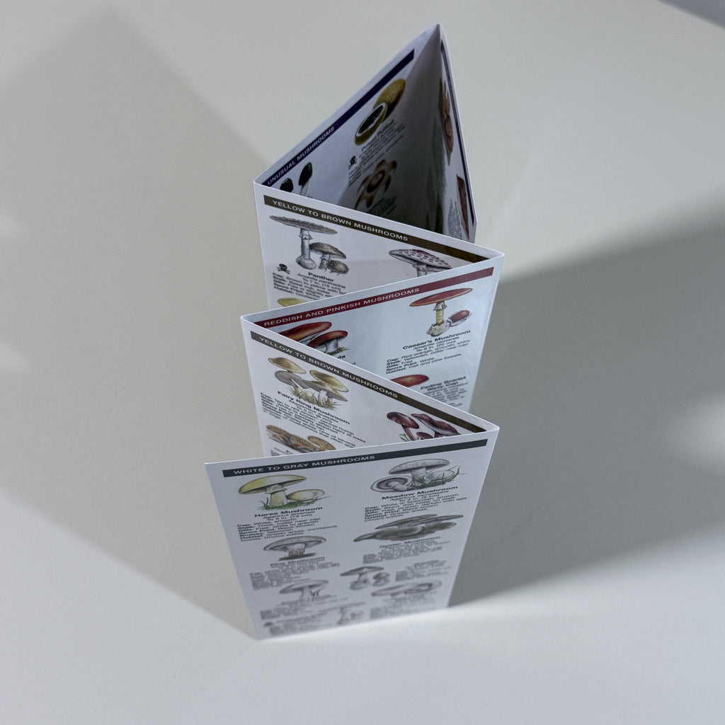 Mushrooms Pocket Naturalist Folding Guide Waterford Press