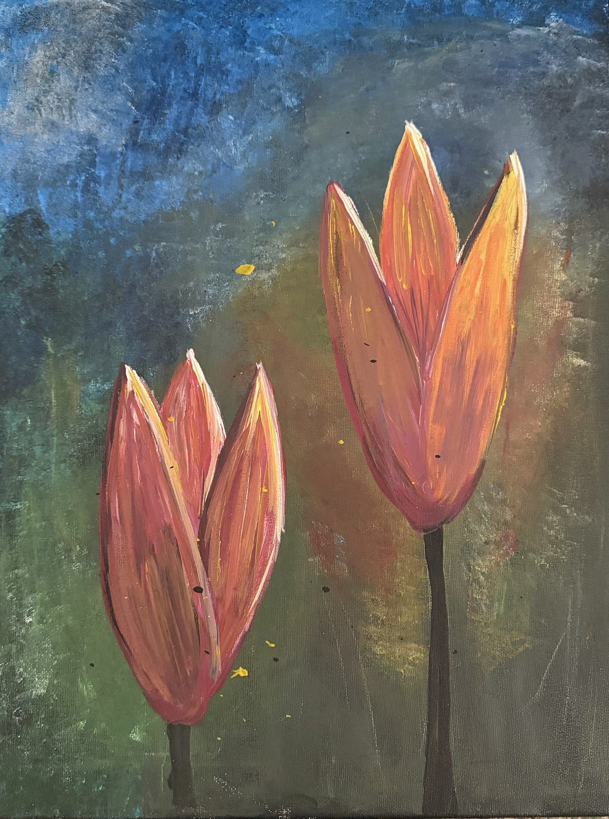 Original acrylic painting of two coral and peach tulips against a moody blue and green textured background, 16x20 gallery wrap canvas
